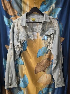 Daisy Distressed Cropped Light Blue Denim Jacket